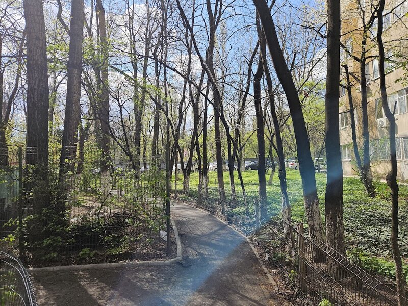 Drumul Taberei, Plaza Romania